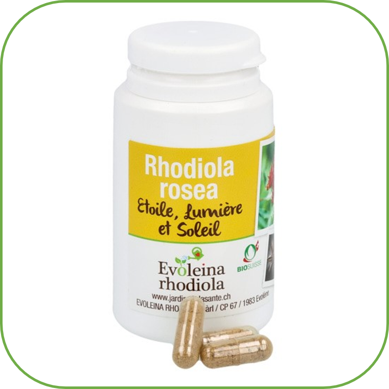 Slide Bas Etoile HCI