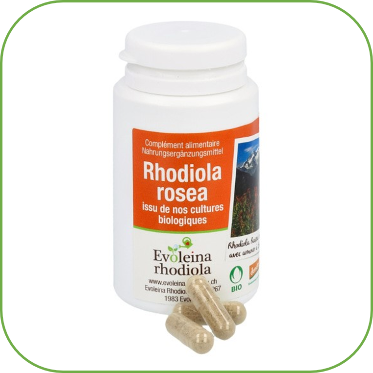 Slide Bas Gelules HCI