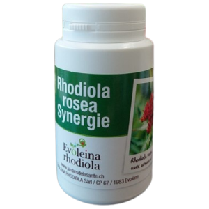 Rhodiola rosea Synergie